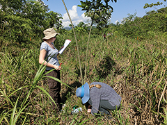 2015 Costa Rica 01